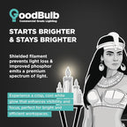 GoodBulb 25-Watt 36 Inch T8 Fluorescent Light Bulb 4100K Cool White Medium Bi-Pin Base 2225 Lumens 86 CRI 36000 Life Hours Instant/Programmed Start Pack of 25 Bulbs