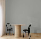 EVOLVE Paint & Primer: Environment-friendly, Low Sheen with One-coat Coverage for Interior & Exterior surfaces (Graphite Gray, 1-Gallon)