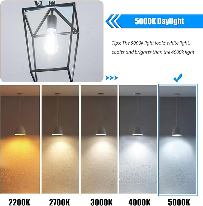 5000K Daylight LED Edison Bulbs 40W Equivalent, 4W ST19 LED Light Bulb, E26 Standard Base, 90 CRI, Non-Dimmable, 12 Pack