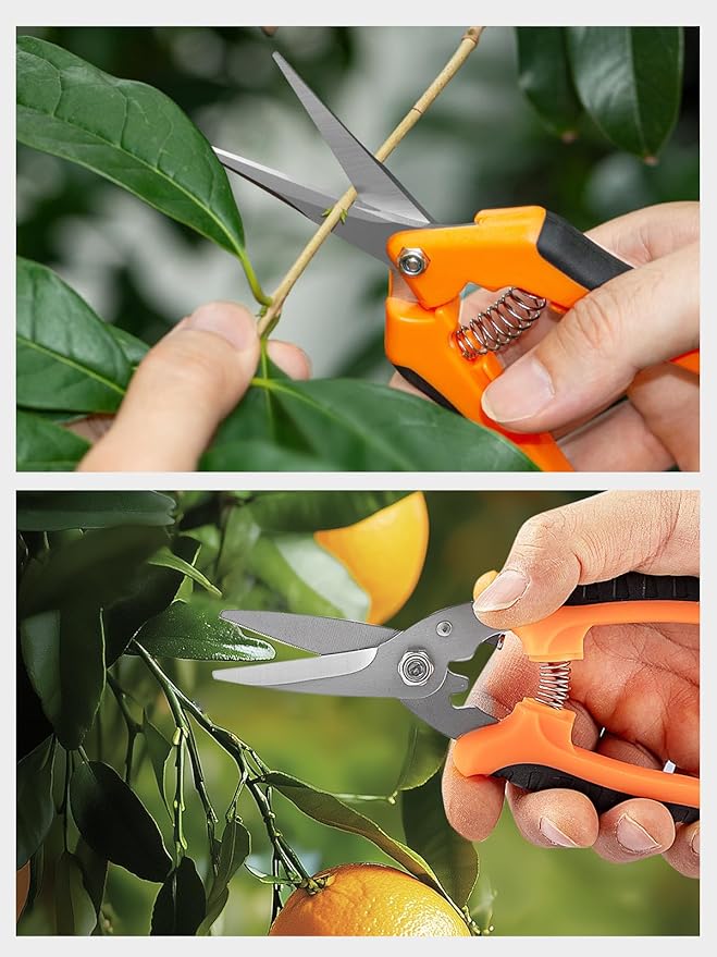 GROWNEER 3 Pack Garden Scissors kit Professional Garden Pruning Shears Stainless Steel Garden Shears Gardening Clippers Flower Plant Scissors Tools Arthritis Weak Hand Pruner Work 3 Times Easier