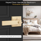 EHOMEWARE 2 Pack Gold Door Handles, Entry Door Levers with Keys, Not Keyed Alike - Interior Door Lever Door Handle with Modern Contemporary Design for Home Bedroom or Living Room