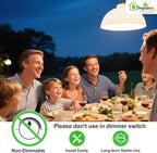 Depuley LED Light Bulbs E26: Chandeleir Lights Bulb 6W Equivalent 60W - Edison Vintage Bulbs Warmlight 2700K ST58 Clear Glass Bulb 800LM 80+CRI Non-Dimmable 12-Pack