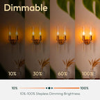 ALAMPEVER E26 LED Bulb 40 Watt, Chandelier Light Bulbs, 2200K Warm White Candelabra LED Bulbs, 12 Pack Candle Light Bulbs