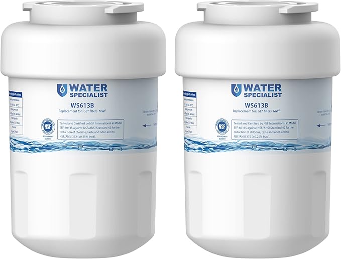 Waterspecialist WS613B Replacement for GE® MWF®, SmartWater® MWFP, MWFA, GWF, HDX FMG-1, WFC1201, GSE25GSHECSS, PC75009, RWF1060 Refrigerator Water Filter, 2 Filters
