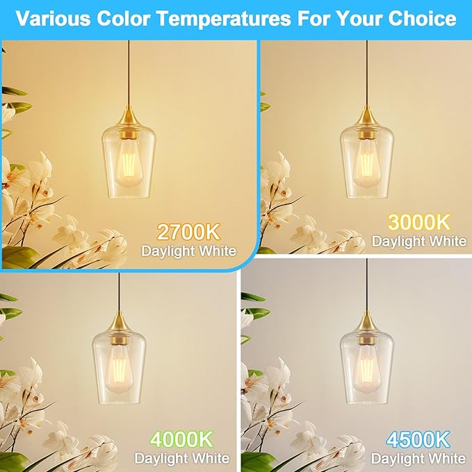 Ralbay ST48 Vintage LED Edison Bulbs 6 Pack, 60W Equivalent, Warm White 2700K, Clear Glass E26 Medium Base