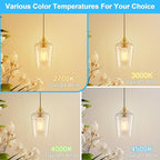 Ralbay ST64 E26 Vintage LED Edison Bulbs 60 Watt Equivalent 6-Pack, Bright Warm White Light 2700K, ST64 Antique LED Filament Bulbs, E26 Medium Base