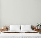 EVOLVE Paint & Primer: Environment-friendly, Low Sheen with One-coat Coverage for Interior & Exterior surfaces (Antique White, 5-Gallon)