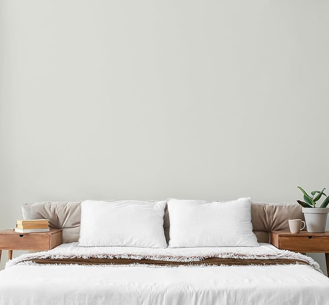 EVOLVE Paint & Primer: Environment-friendly, Low Sheen with One-coat Coverage for Interior & Exterior surfaces (Antique White, 1-Gallon)