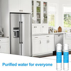 Inline Water Filter for Refrigerator and Ice Maker(2 Pack),1/4" Push Connect Post Carbon Filter Replacement for Reverse Osmosis Water System