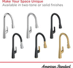 American Standard 1048812430 Aspirations Single-Hole Kitchen Sink Faucet with Pull-Down Sprayer, 1.8 GPM, Matte Black