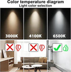 25 Pack T8 Fluorescent Bulbs 4 Foot, F32T8/865 Fluorescent Light Bulb 48 Inch 32 Watt 6500K Daylight 2500 Lumens G13 Base