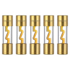 40A AGU Fuse 40 Amp Gold Plated Glass Inline Automobile Audio Fuses for Car Auto Stereo Amplifier Safety Power Protection 12V (Pack of 5 Pcs)