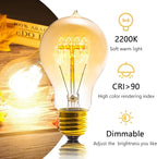 A19 Edison Light Bulb,E26 Incandescent Light Bulbs 60W Antique Vintage Bulb,2200K Dimmable Warm White 280 Lumens Amber Retro Decorative Old Fashioned Incandescent Bulb,Squirrel Cage 6 Pack
