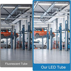 T8 LED Bulbs 4 Foot, 30 Pack 36W 4680LM 5000K Daylight White Type B 4FT LED Tube Lights, T8 T10 T12 Fluorescent Replacement Bulbs, Ballast Bypass, V-Shaped, Double Ended Power, Clear Cover