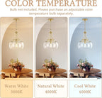 Industrial Round Chandelier Rustic Ceiling Light Fixture Farmhouse Pendant Light with Clear Glass Shade for Dining Room Hallway Entryway Kitchen Bedroom, Gold