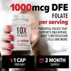 10X Health 5 MTHF Supplement - Methylated Multivitamin with Methylfolate & Magnesium for Brain, Heart Health, DNA & Neurotransmitter Synthesis - Bioavailable 5-MTHF Supplement - 60 Capsules