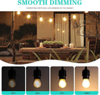 Frosted 25 Watt Light Bulbs E26 Warm White 2700k Dimmable Small Vintage Edison Bulbs G45 Low Watt Globe for Ceiling Fan,Pendant Lights,Vanity Light,Table Lamp,Bedroom and Bathroom Create Cozy Ambiance