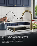 FORIOUS Gold Kitchen Faucet with Soap Dispenser, Single Handle Stainless Steel Transitional Sink Faucet with Pull Down Sprayer 1 or 3 Hole, Suitable for Farmhouse Laundry Camper RV Bar