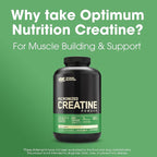 Optimum Nutrition Micronized Creatine Monohydrate Powder, Unflavored, Keto Friendly, 120 Servings (Packaging May Vary)