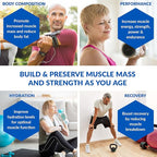 BioTrust Ageless Muscle Builder - Creatine HMB Powder with Vitamin D3 & Betaine - Build & Preserve Naturally Declining Muscle Mass & Strength - Fruit Punch, 30 Servings
