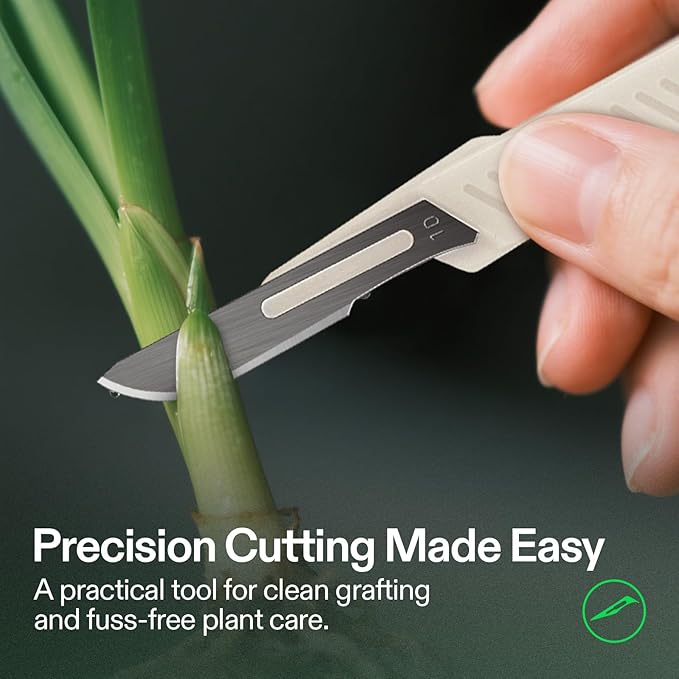 VIVOSUN #10 High-Carbon Steel Blades for Cutting Plants and Propagation