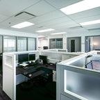 LUXRITE 30-Pack F17T8/850 17W 24 Inch T8 Fluorescent Tube Light Bulb, 5000K Bright White, 1350 Lumens, G13 Medium Bi-Pin Base, LR20753