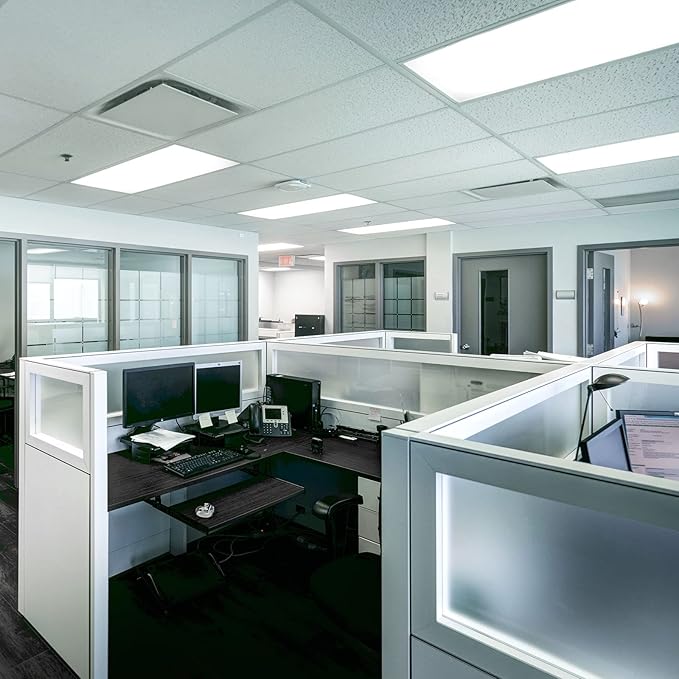 LUXRITE F17T8/850 17W 24 Inch T8 Fluorescent Tube Light Bulb, 5000K Bright White, 1350 Lumens, G13 Medium Bi-Pin Base, LR20753, 12-Pack