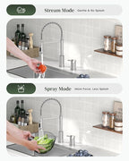 APPASO 2 Hole Kitchen Faucet, Kitchen Faucet with Separate Handle, SUS304 Stainless Steel Two Holes Faucet for Kitchen Sink, Brushed Nickel