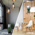 Jensense Vintage LED Edison Bulbs 8Watt Dimmable Light Bulbs 2700K Warm White, E26 LED Bulb 60watt Equivalent, Vintage Bulbs 800lm CRI 90 Clear Glass 6 Packs