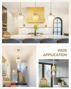 Emak 8 Inch Clear Glass Pendant Lights Kitchen Island, Modern Gold Pendant Light Fixtures for Kitchen, Bathroom, Bedroom, Dining Room, PL122-GD-CG