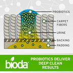 Bioda Multi-Purpose Probiotic Enzyme Cleaner and Deodorizer | Professional Strength | Trash Can Deodorizer, Pet Stains and Odors, Drains, Floors, Bathrooms, Toilets | Made in USA | 1 Gallon | 4 Pack