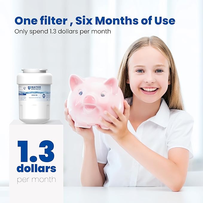 Waterspecialist WS613B Replacement for GE® MWF®, SmartWater® MWFP, MWFA, GWF, HDX FMG-1, WFC1201, GSE25GSHECSS, PC75009, RWF1060 Refrigerator Water Filter, 2 Filters