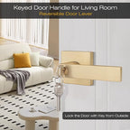 EHOMEWARE 5 Pack Entry Door Levers with Keys for Exterior Front Doors All Keyed Same, Satin Brass Finish, Keyed Alike for Bedroom Bathroom Interior Doors, Modern Gold Door Handles