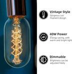 LUXON 6 Pack T45 Edison Bulbs, 40 Watt Antique Vintage E26 Base Dimmable Amber Glass Incandescent Light Bulbs, Warm White 120V Lamp for Home Light Fixtures Decoration, Warll Sconce