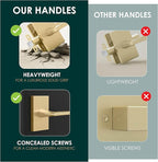 Mega Handles Apex Dummy Door Handles - 2 Pack Heavy Duty Gold Door Handle, Non-Turning Door Handle for Hallway, Closet & French Doors, Single Side, Fits All Standard Doors - Satin Brass