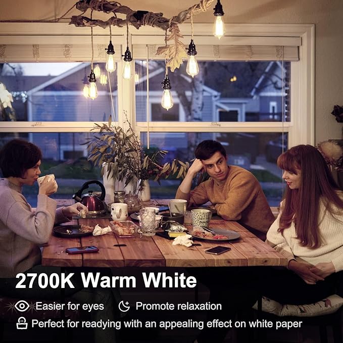 TJOY 24 Pack Vintage 8W ST58 LED Edison Light Bulbs, Dimmable, 60W Equivalent, 800Lumens, 2700K Warm White, E26 Base LED Filament Bulb, CRI80+, Antique Glass Style for Home, Bedroom, Office, Farmhouse