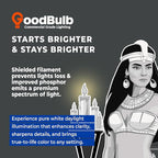 GoodBulb 21-Watt 34 Inch T5 Fluorescent Light Bulb 5000K Daylight White Color Medium Bi-Pin Base 2100 Lumens 85 CRI 36000 Life Hours Instant/Programmed Start Pack of 40 Bulbs