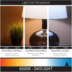 Sunlite PLD26/SP65K 26-Watt Compact Fluorescent Plug-In 2-Pin Light Bulb, 6500K Color