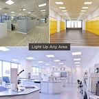 GoodBulb 32-Watt 12 Inch T9 Fluorescent Circline Light Bulb 4100K Cool White Color G10q Base 2027 Lumens 10,000 Life Hours 80 CRI Pack of 12 Bulbs