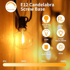 25pack G40 LED Replacement Light Bulbs E12 Screw Base Shatterproof Globe Bulbs for Outdoor String Lights 120V 0.6W Dimmable Edison Light Bulbs for Patio Decor, 2700K Warm White