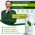 Original Probiótico Natural probiotic,Capsule,60 count