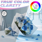 E12 Candelabra Bulb, 5000K Daylight, 6W Equivalent to 60 watt, E12 LED Bulb Non-Dimmable, Chandelier Light Bulbs, B10 Candle Light Bulbs, 90+CRI, 600LM, Cear Glass, 12 Pack