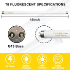 25 Pack T8 Fluorescent Bulbs 4 Foot, F32T8/865 Fluorescent Light Bulb 48 Inch 32 Watt 6500K Daylight 2500 Lumens G13 Base