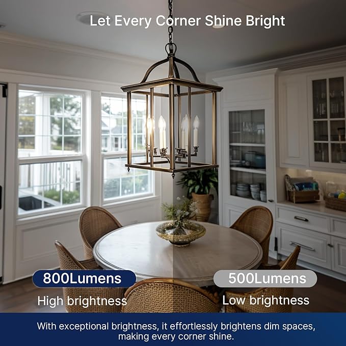 FLSNT 100W Equivalent LED Chandelier Light Bulbs E26 Base, 5000K Daylight Dimmable LED Candelabra Bulbs, 800LM, 12Pack UL,CA65 Listed.