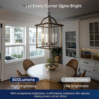 FLSNT 100W Equivalent LED Chandelier Light Bulbs E26 Base, 5000K Daylight Dimmable LED Candelabra Bulbs, 800LM, 12Pack UL,CA65 Listed.