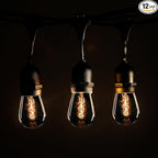 Hometown Evolution, Inc. E26 Outdoor Commercial String Lights with Suspended Socket for Weatherproof Heavy Duty Vintage Outside Lighting (S14 Zig Zag Edison 11 Watt Bulbs, 24 Foot 12 Socket)