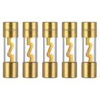 30A AGU Fuse 30 Amp Gold Plated Glass Inline Automobile Audio Fuses for Car Auto Stereo Amplifier Safety Power Protection 12V (Pack of 5 Pcs)