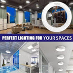 LED Replacement for FC8T9 22W and FC12T9 32W Fluorescent Bulb, 8 inch 11W for T9 22 Watts Circular Light Bulbs, 12 inch 16w for 32 Watts Circline, CRI 80, Daylight Ballast Bypass Required