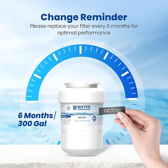 Waterspecialist WS613B Replacement for GE® MWF®, SmartWater® MWFP, MWFA, GWF, HDX FMG-1, WFC1201, GSE25GSHECSS, PC75009, RWF1060 Refrigerator Water Filter, 2 Filters
