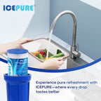 ICEPURE 20 Micron 10" x 4.5" Whole House Sediment Pleated Water Filter Replacement for GE FXHSC, Culligan R50-BBSA, Pentek R50-BB, DuPont WFHDC3001, W50PEHD, GXWH40L, GXWH35F for Well Water, 4PACK